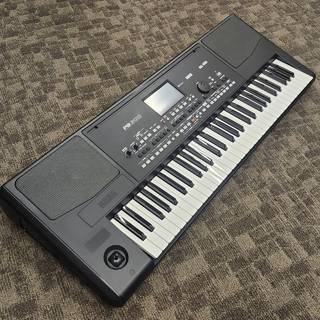 KORG PA300