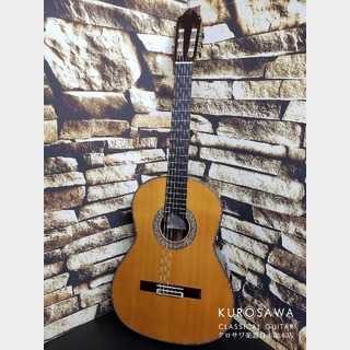 Juan Hernandez ホアン・エルナンデス 2020年製 Flamenca Professional Negra 【日本総本店2F 在庫品】