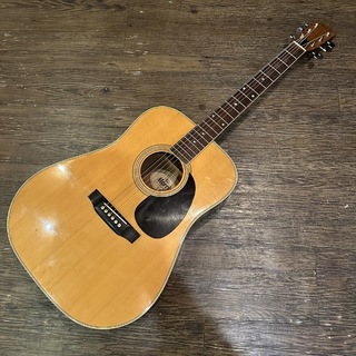 アコースティックギター ＞ フラットトップ、morris、MORRIS W-20の