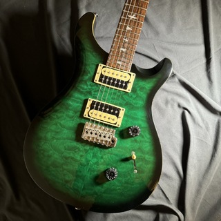 Paul Reed Smith(PRS) JAPAN LIMITED SE Custom24 Bird Inlay [Beveled Maple Top] Emerald Green【現物画像】