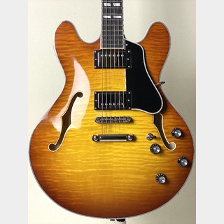 Eastman 【ハイコストパフォーマンスなセミアコ!!】【良杢目個体!!】T-486 -Golden Burst-