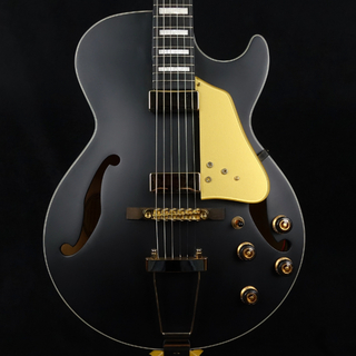 エレクトリックギター ＞ フルアコ、Ibanezの検索結果【楽器検索