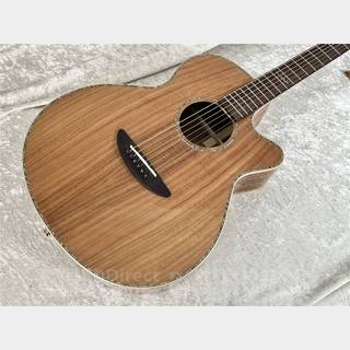 アコースティックギター／エレクトリック・アコースティックギター