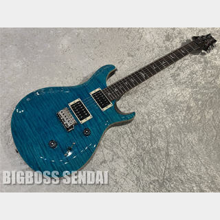 Paul Reed Smith(PRS) SE CUSTOM 24