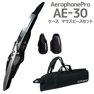 Roland AE-30 Aerophone Pro ケース 交換用マウスピースセット ウインドシンセサイザー