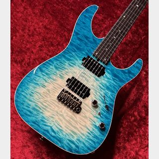 エレキギター、T's Guitarsの検索結果【楽器検索デジマート】