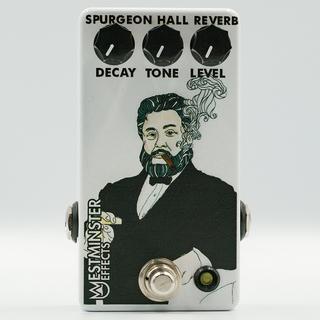 Westminster Effects Spurgeon Hall Reverb
