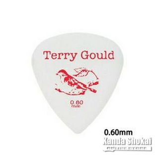 PICKBOY GP-TG-T/06 Terry Gould Guitar Pick Teardrop 0.60mm, White