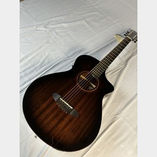 値引き❗美品‼️Breedlove Breedlove　 ハードケース 楽天市場】【マラソン限定！最大p41倍&選べるノベルティ付