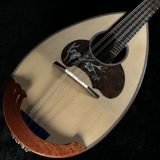 弦楽器、CALACEの検索結果【楽器検索デジマート】