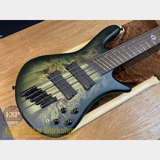 Spector NS Dimension 5【Haunted Moss Matte】
