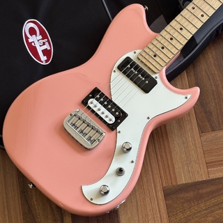 エレキギター、G&Lの検索結果【楽器検索デジマート】