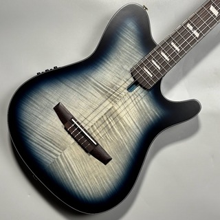 エレガットギターの検索結果【楽器検索デジマート】