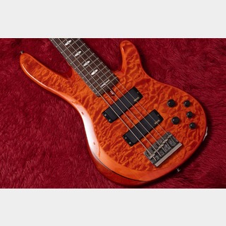 ベース、SBVの検索結果【楽器検索デジマート】