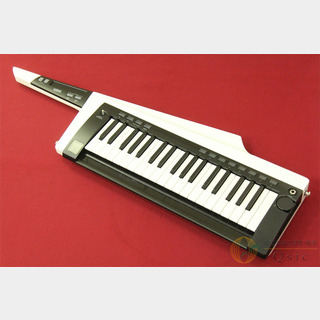 KORG RK-100S 2 [XK084]【神戸店在庫】