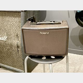 Roland AC-33-RW Acoustic Chorus