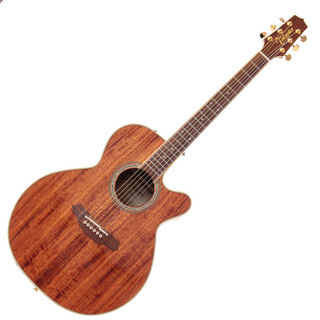 Takamine タカミネ PT-106 エレアコ アコースティックギター