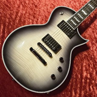 エレクトリックギター ＞ レスポールタイプの検索結果【楽器検索