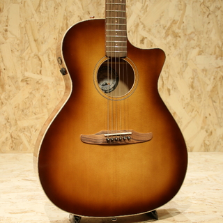 Fender Acoustics Newpoter Classic