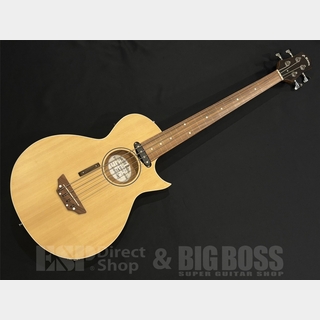 アコースティック・ベース／エレアコ・ベース、フレットレスの検索結果