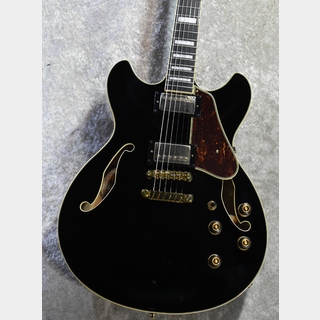 Ibanez セミアコースティックギター ブラック アイバニーズのセミアコースティックギターの評価とおすすめ5選