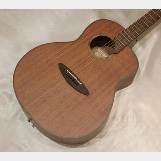 aNueNue 【展示入替特価】aNN-L20