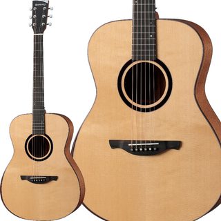 アコースティックギター／エレクトリック・アコースティックギター