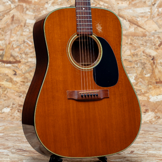 Martin D-19 1977