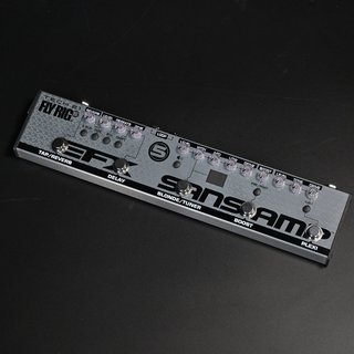 Amazon.co.jp: TECH21 ギター用マルチエフェクター FLY RIG 5