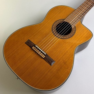 Takamine EC132SC