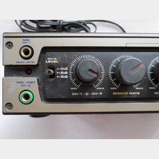 Roland DC-20 ANALOG ECHO