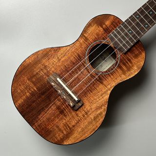 FUJIGEN(FGN) 【中古】FSU-TC【現物画像】