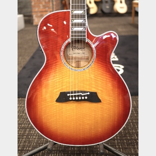 Takamine TSP178AC FCB  #58070594【実物写真】【福岡ミーナ天神店】【分割手数料0%】【送料当社負担】