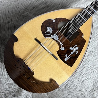 toky様用　【美品】エレキ　マンドリン Yahoo!オークション - toichiro ishikawa 石川東一郎 マンドリン