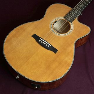 PRS ポールリードスミス　アコースティックギターT50E Paul Reed Smith(PRS) SE P50E（新品/送料無料）【楽器検索