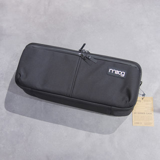 Moog Theremin SR CASE【AUTUMN FLAME UP SALE11.16(土)～11.30(土)】