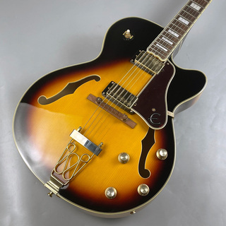 Epiphone JoePass EMPEROR2