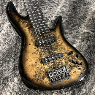 Fodera  Emperor 5 Deluxe Buckeye Burl