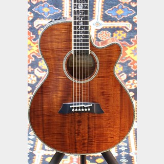 TAKAMINEアコースティックギター Takamine / タカミネ アコースティックギター | 島村楽器