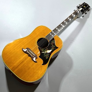 アコースティックギター、Gibson、Doveの検索結果【楽器検索デジマート】