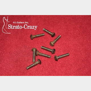 Fender Stratocaster 70s Pickup &Switch Mount Screw Set "Beat-Up"