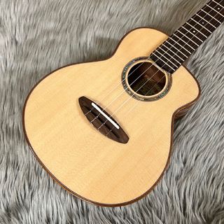 aNueNue aNueNue　aNN-UC100【コンサート/14Fジョイント】【写真現物】