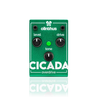 Olinthus CICADA【世界最小のTS系エフェクター!】