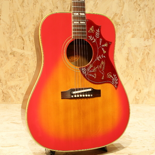 Gibson Hummingbird CSB