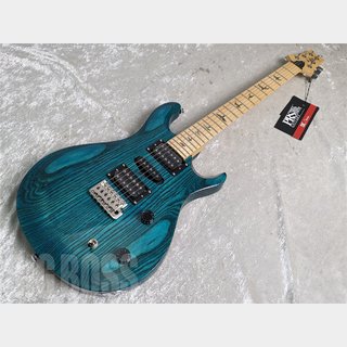 Paul Reed Smith(PRS)SE SWAMP ASH SPECIAL (Iri Blue)