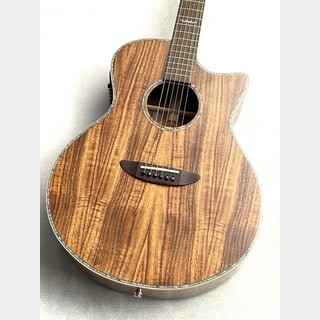 アコースティックギター／エレクトリック・アコースティックギター