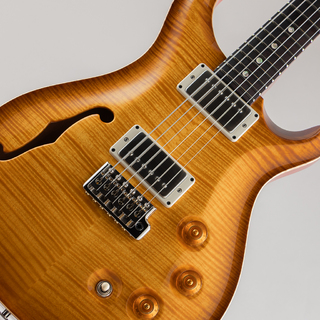 Paul Reed Smith(PRS) DGT Semi-Hollow Limited Edition "Artist Grade Top" McCarty Sunburst