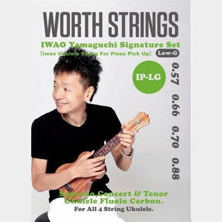 Worth Strings IP-LG IWAO Piezo PickUp Low-G セット ウクレレ弦