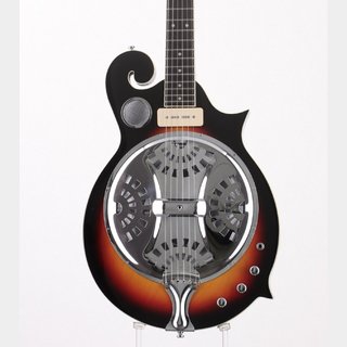ジョンソン　リゾネーターギター　Martin弦張り替え済み ジョンソン リゾネーターギター Martin弦張り替え済み