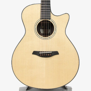 アコースティックギター／エレクトリック・アコースティックギター